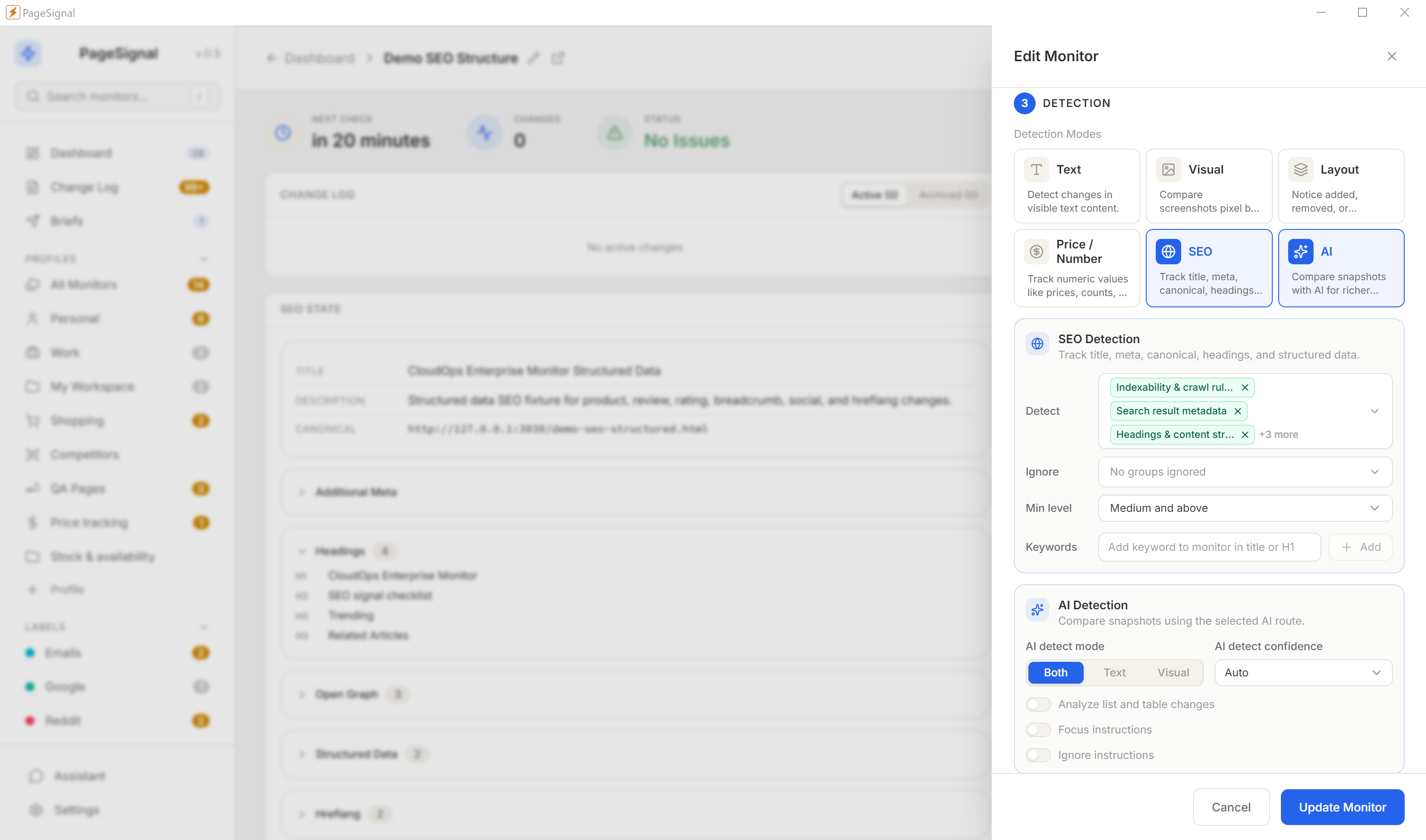 SEO detection panel